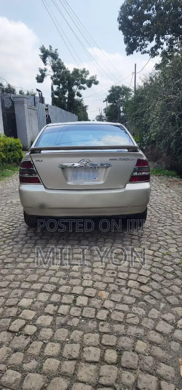 Toyota Corolla 2003 Beige