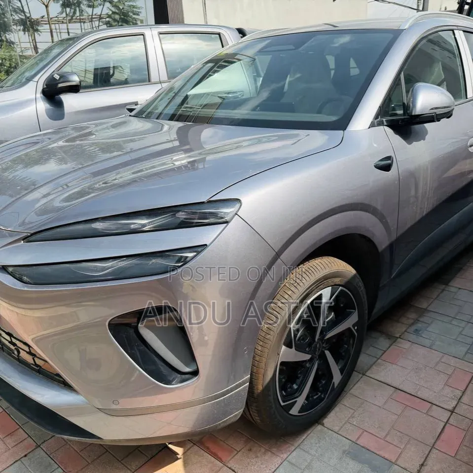 New BYD Sealion 06 DM-i 2025 Gray