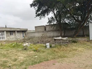 በአስቸኳይ የሚሸጥ 450 ካሬ ኮምፓውንድ ግቢ ሸገር