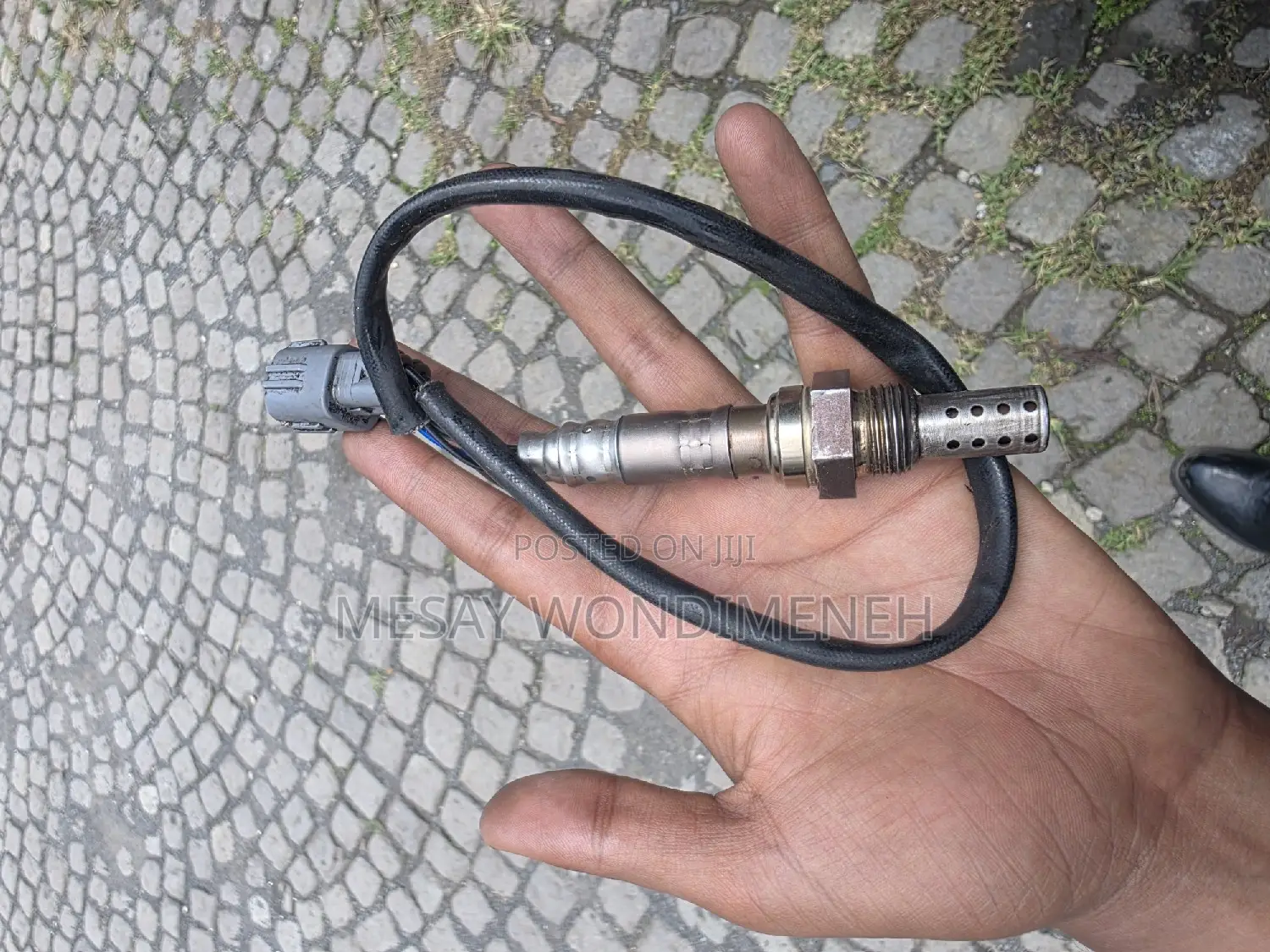 Carina E Oxygen Sensor