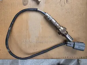 Carina E Oxygen Sensor
