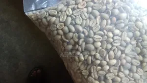 Ground Jimma Coffee