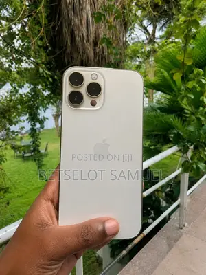 Apple iPhone 13 Pro Max 256 GB Silver