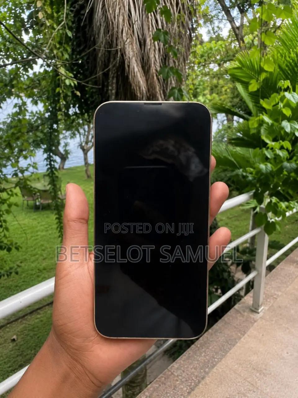 Apple iPhone 13 Pro Max 256 GB Silver