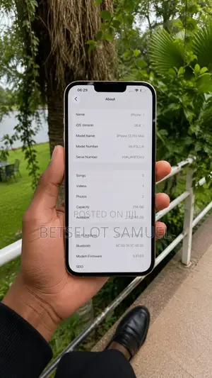 Apple iPhone 13 Pro Max 256 GB Silver