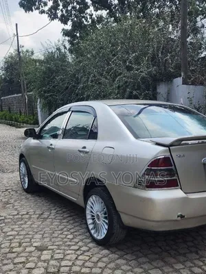 Toyota Corolla 2003 Gray