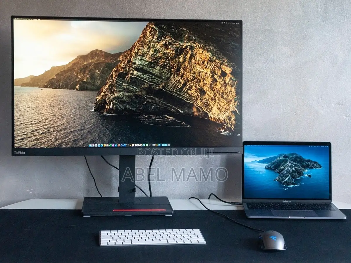 Lenevo ThinkVision