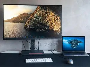 Lenevo ThinkVision