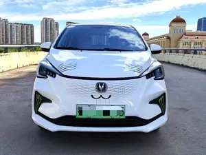 Changan BenBen E-Star 2024 White
