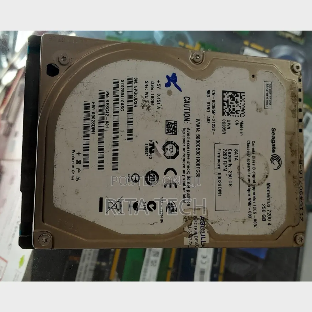 Segate Hard Disk 250 Gb