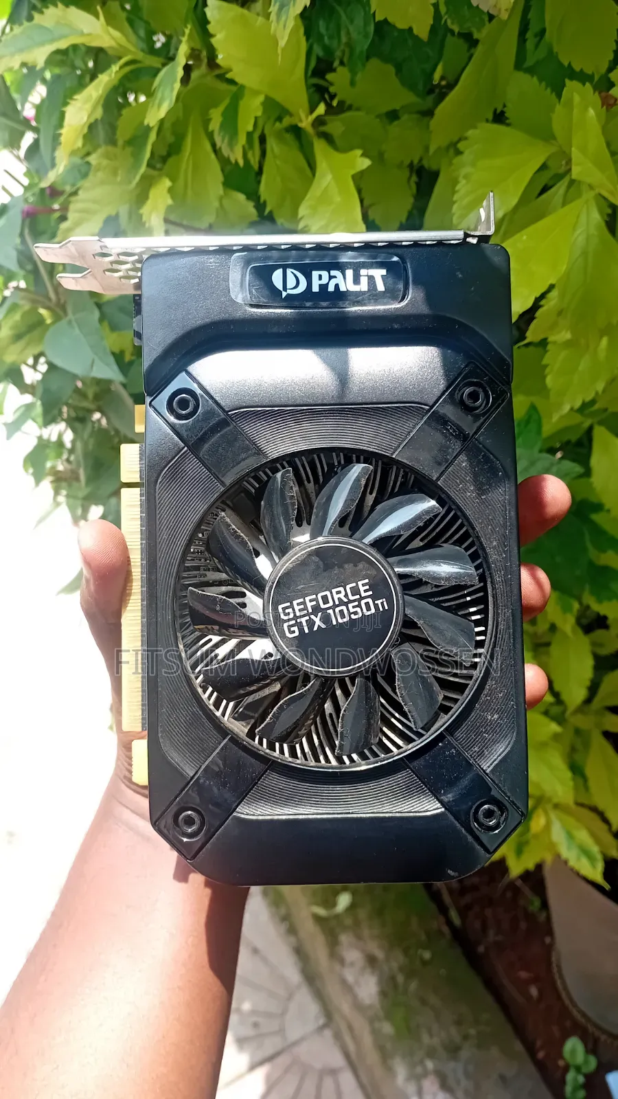 Nivida Graphics Card