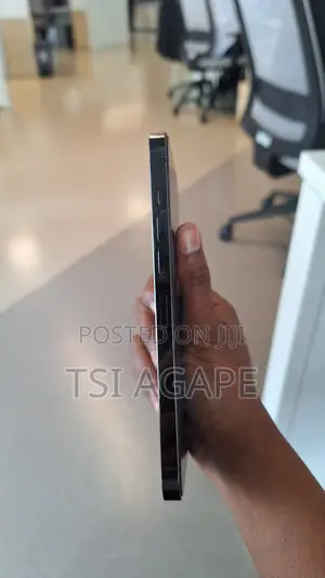 Apple iPhone 13 Pro Max 256 GB Gray