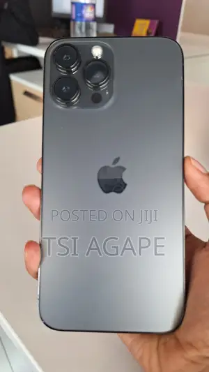 Apple iPhone 13 Pro Max 256 GB Gray