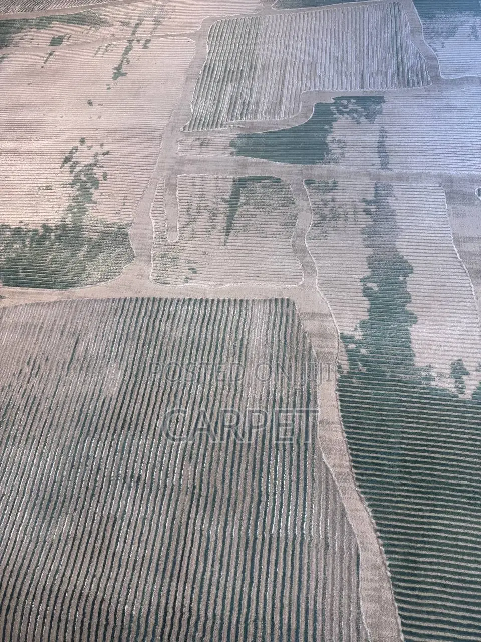 Home Carpet