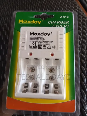 Maxday Rechargeable Batteries (2 PCS)