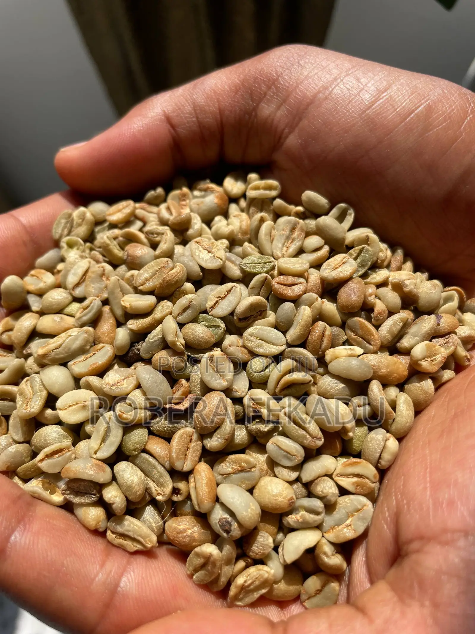 Mass Coffee