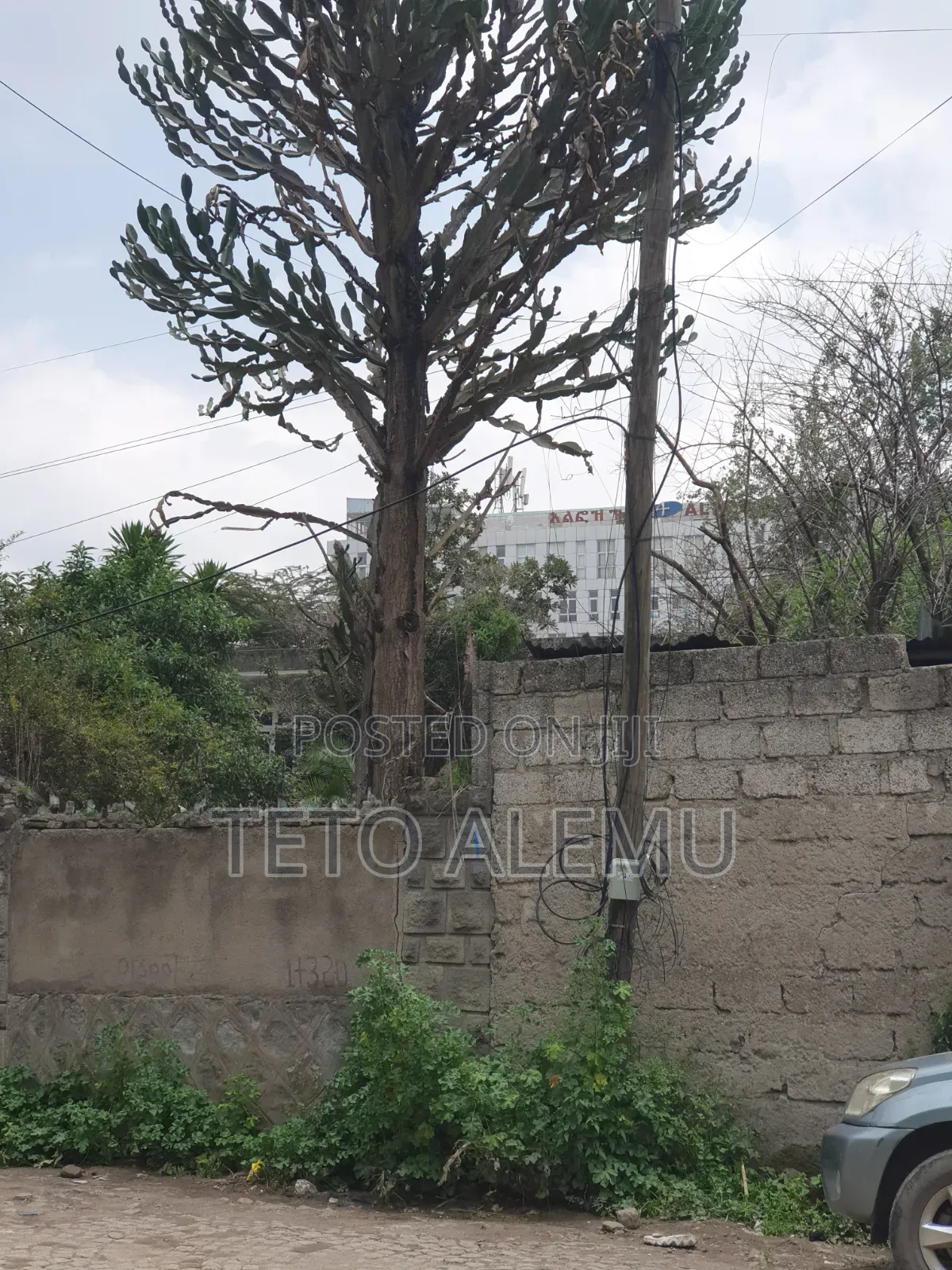  ለሽያጭ የቀረበ ቦታ — ገርጂ አልፎዝ
 ቦታ: ገርጂ አልፎዝ
 የመሬት ስፋት: 450 ካሬ