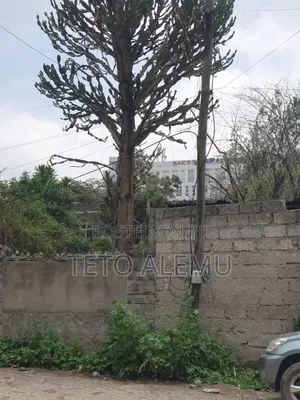  ለሽያጭ የቀረበ ቦታ — ገርጂ አልፎዝ
 ቦታ: ገርጂ አልፎዝ
 የመሬት ስፋት: 450 ካሬ
