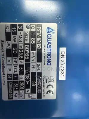 Aquastrong Surface Water Pump