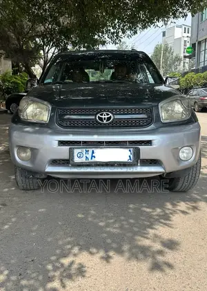 Toyota RAV4 2006 Gray