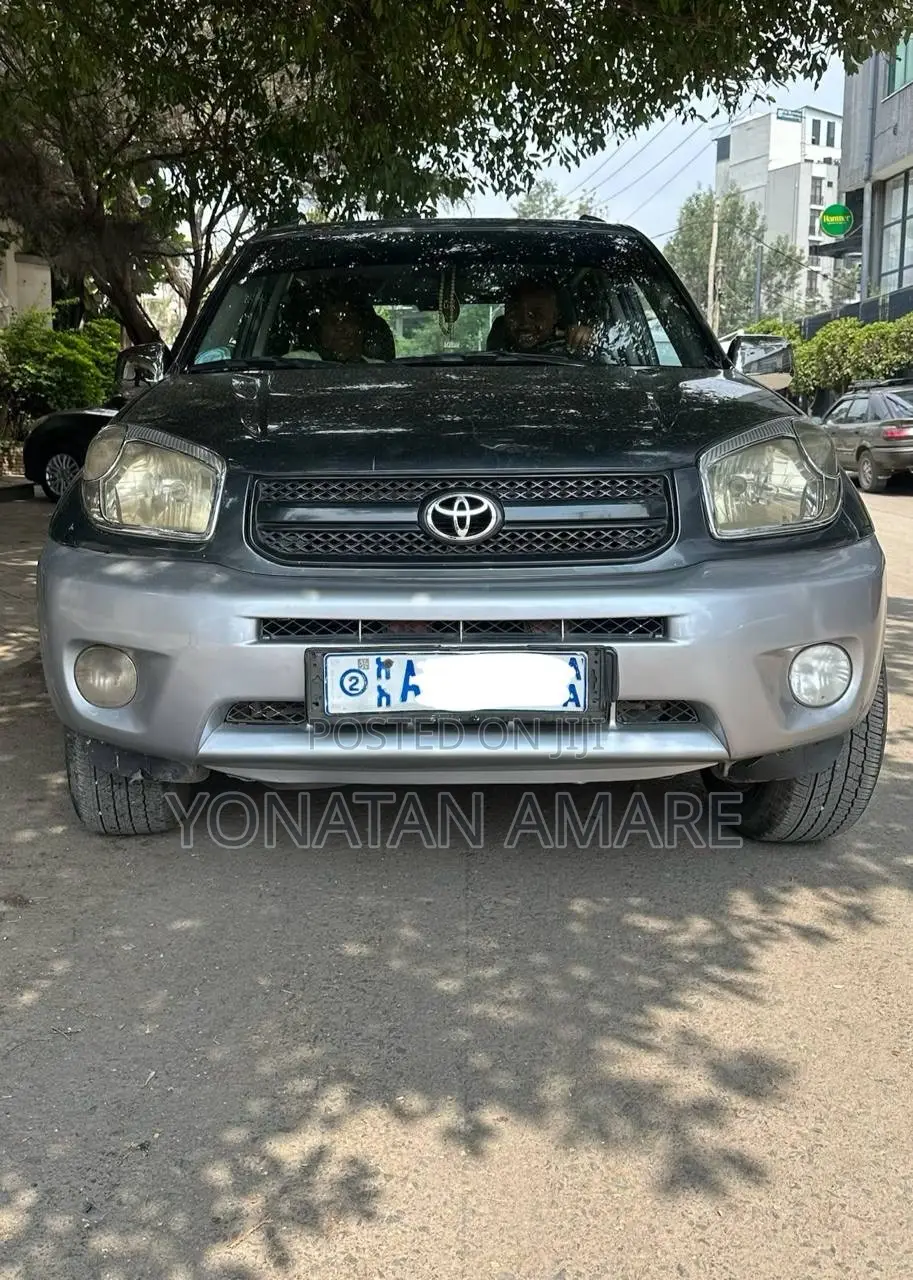 Toyota RAV4 2006 Gray