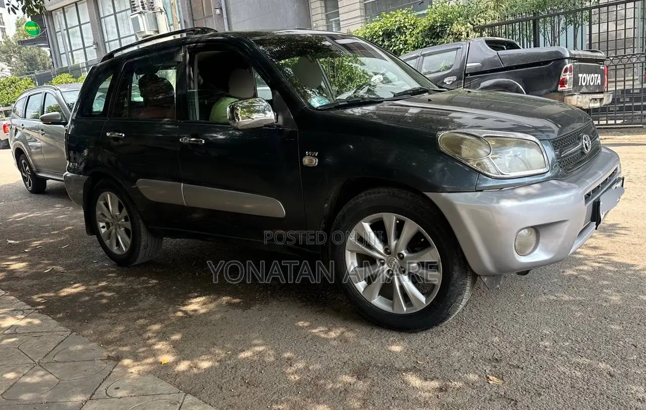 Toyota RAV4 2006 Gray
