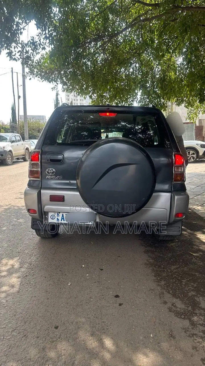 Toyota RAV4 2006 Gray