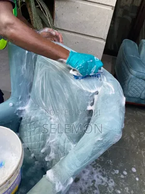 Cleaning Service Door to Door