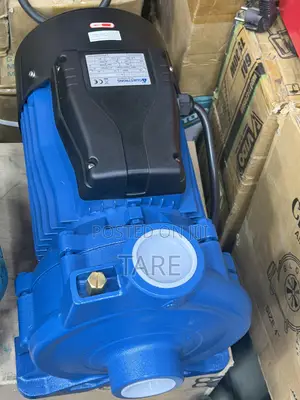 Surface Water Pump