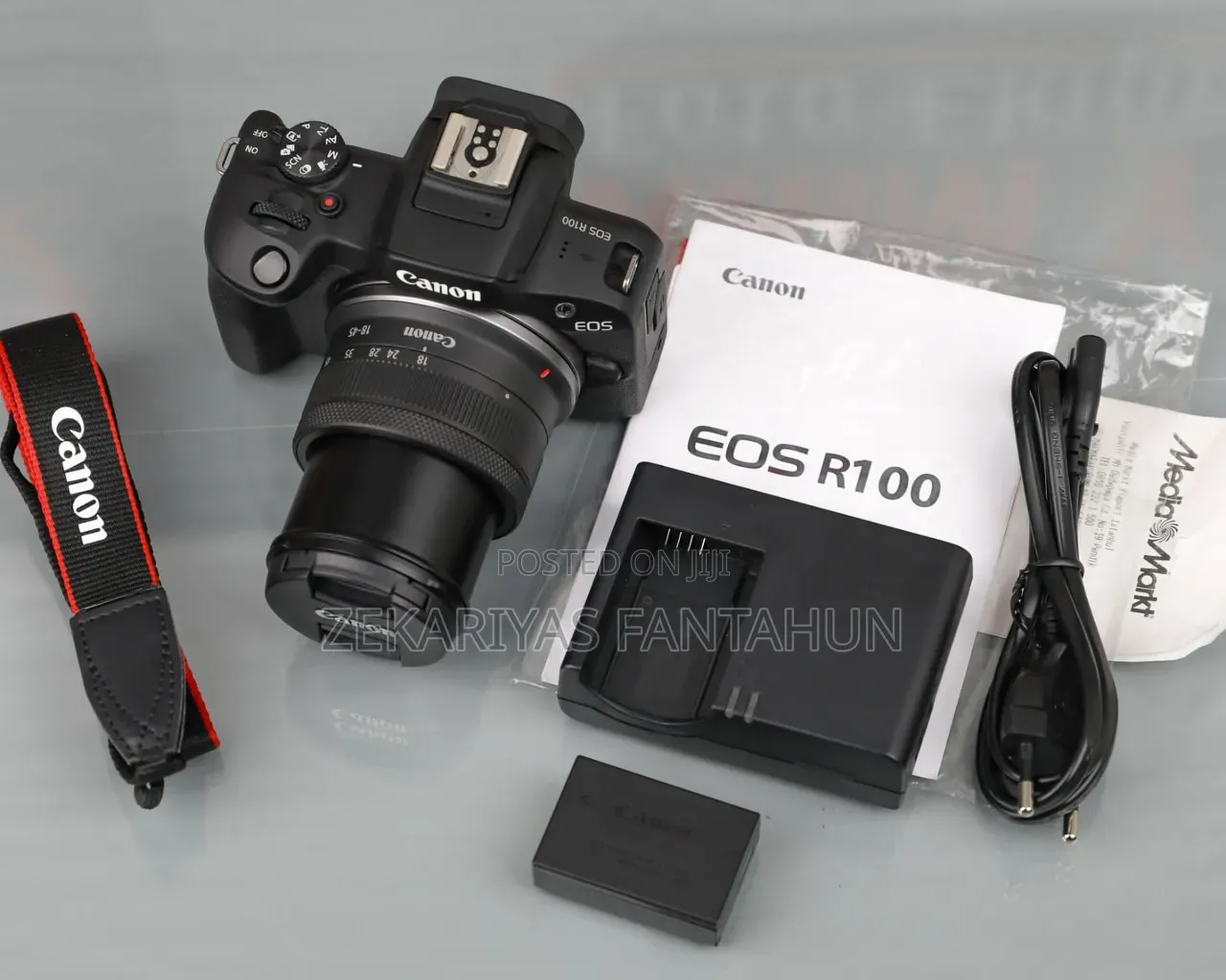 Canon R100