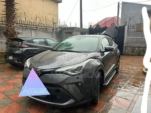 Toyota C-HR 2020 Gray