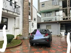 Toyota C-HR 2020 Gray