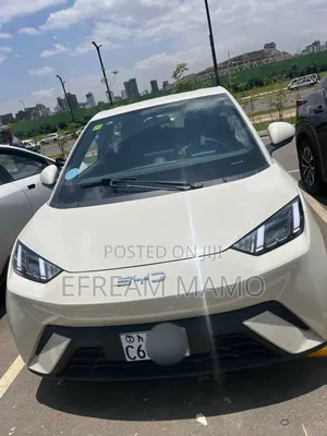 BYD Seagull 2024 White