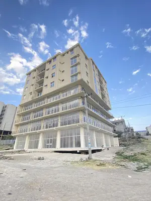 Furnished 2bdrm Apartment in Masero Realestate, Bole for sale
