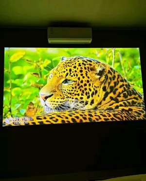 Smart Projector 150 Inch