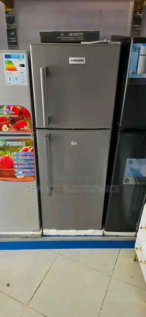 EVERGREEN 360,litr Refrigeratore