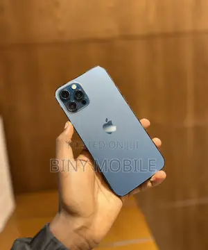 Apple iPhone 12 Pro Max 256 GB Blue