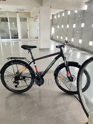DINOS ጠንካራ ፍሬም ያለው ሳይክል — DINOS Bike With Strong Frame