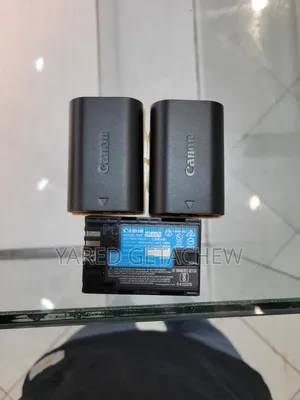Canon LP E6N Battery