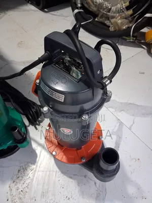 Leo Semer Semer QDX 1.5hp