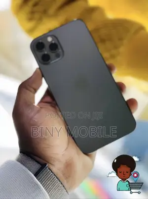 Apple iPhone 12 Pro Max 128 GB Gray