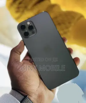 Apple iPhone 12 Pro Max 128 GB Gray