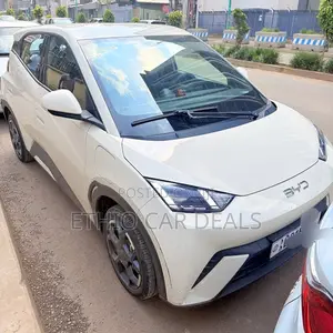 BYD Seagull 2025 White