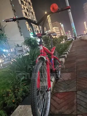 Saudi Arbia Bicycle