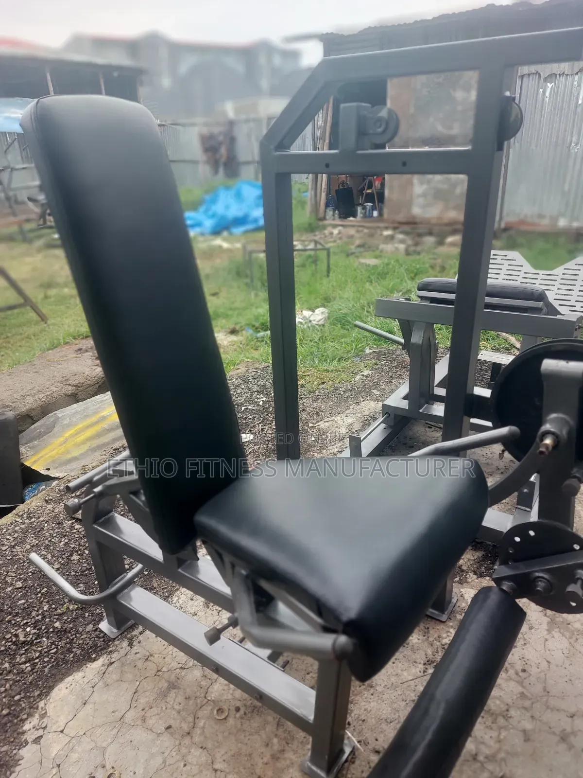 Leg Extantion Update One