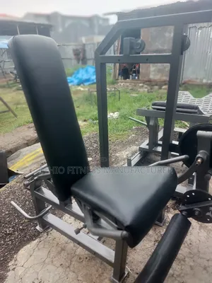 Leg Extantion Update One