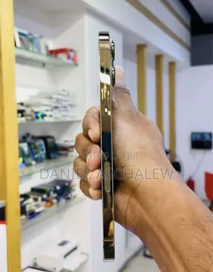 Apple iPhone 13 Pro Max 256 GB Gold
