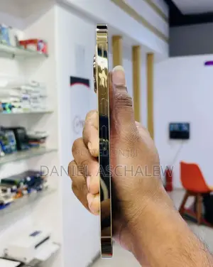Apple iPhone 13 Pro Max 256 GB Gold