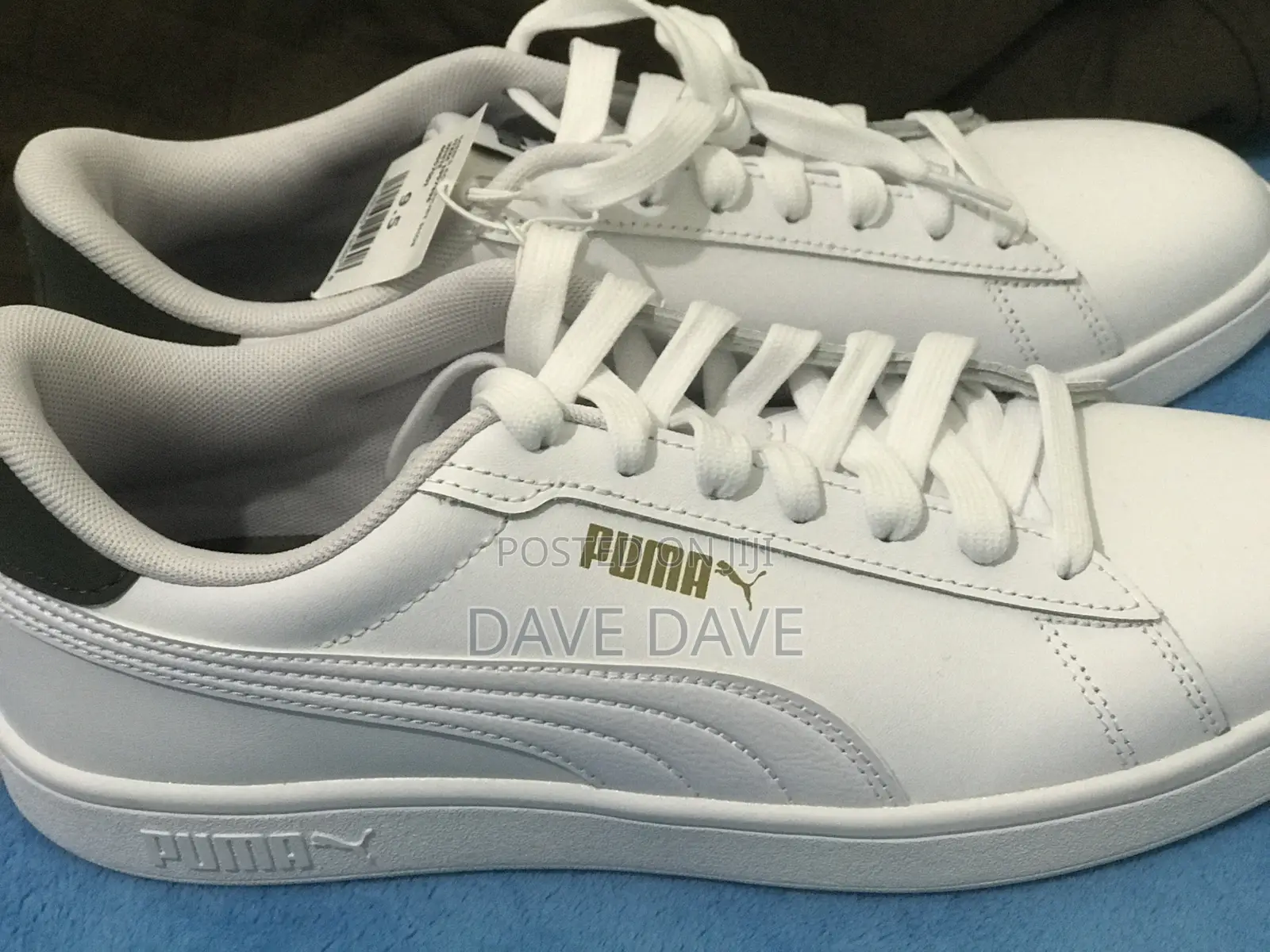 White Puma