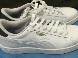 White Puma